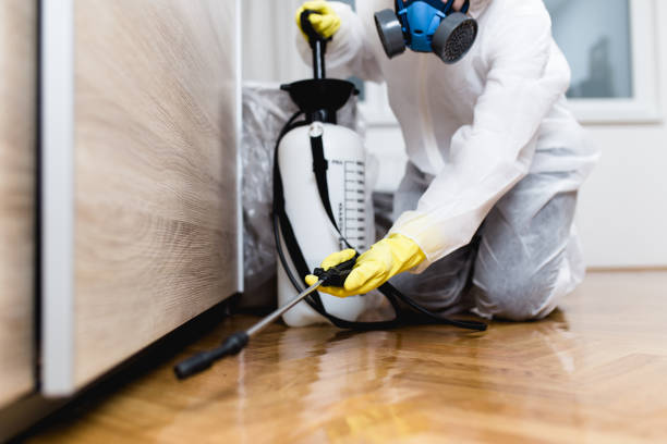 Flea Control Services in Monticello, FL