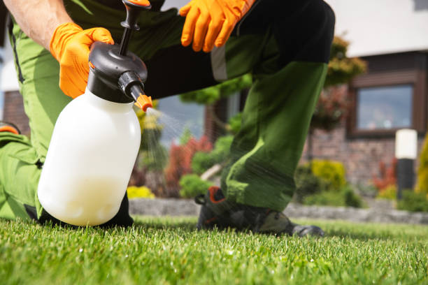 Best Pest Removal Services  in Monticello, FL
