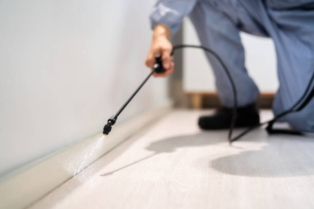 Wasp Removal Services in Monticello, FL
