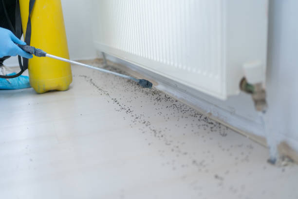 Pest Control for Restaurants in Monticello, FL