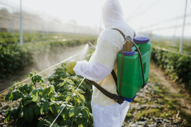 Professional Pest Control in Monticello, FL
